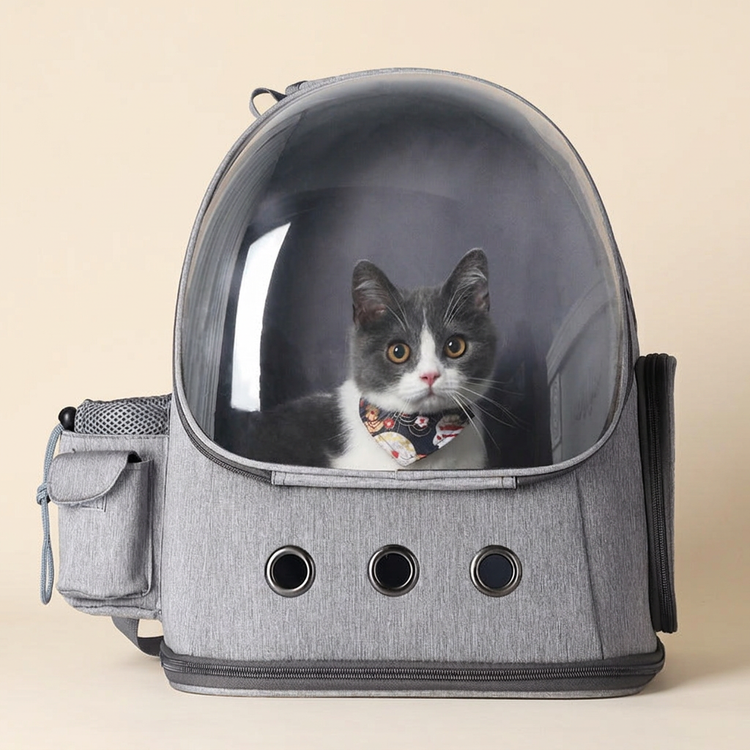 Grey window pet carrier backpack with a cat inside