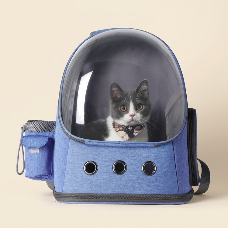 Blue window pet carrier backpack with a cat inside